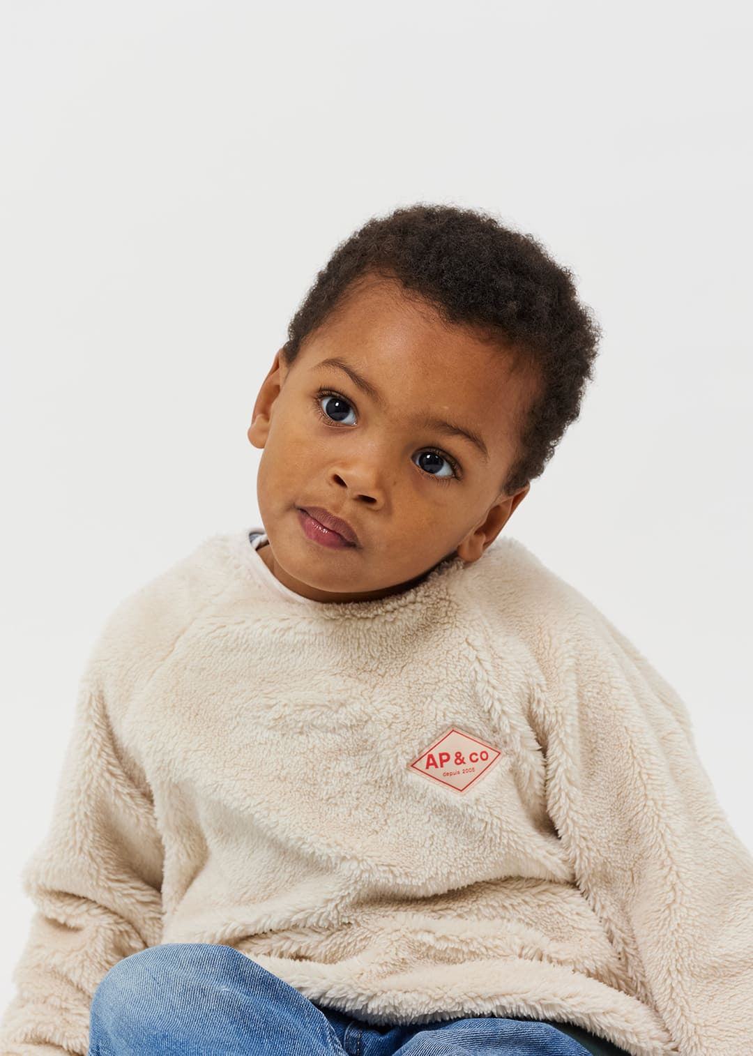 Joe Relaxed Tricolor Sherpa Sweatshirt — BEIGE